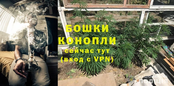 дурь Алексеевка