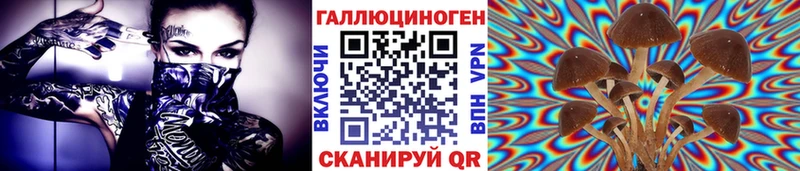 darknet клад Дивногорск Псилоцибиновые грибы GOLDEN TEACHER